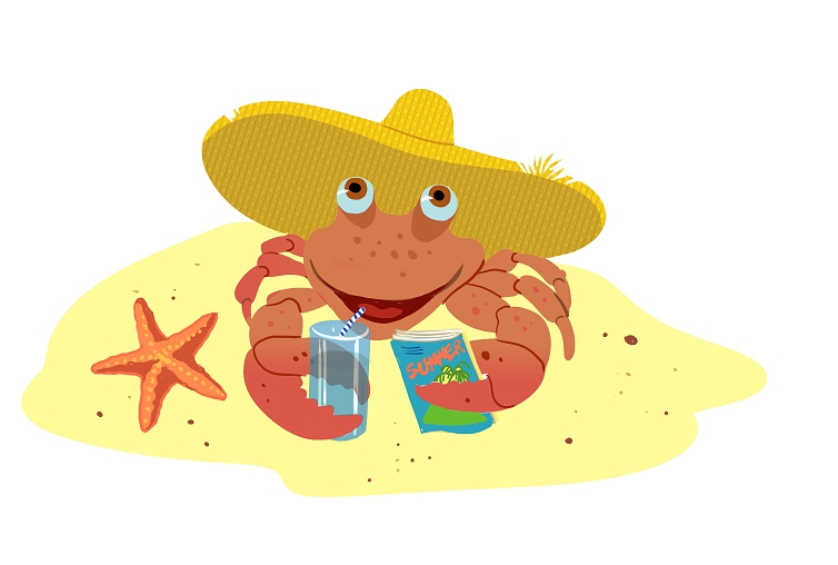 Illustration Design by sdrum for this project | Design #1885572