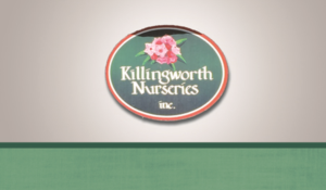 Business Card Design by Macaw for Killingworth Nurseries | Design: #7364794