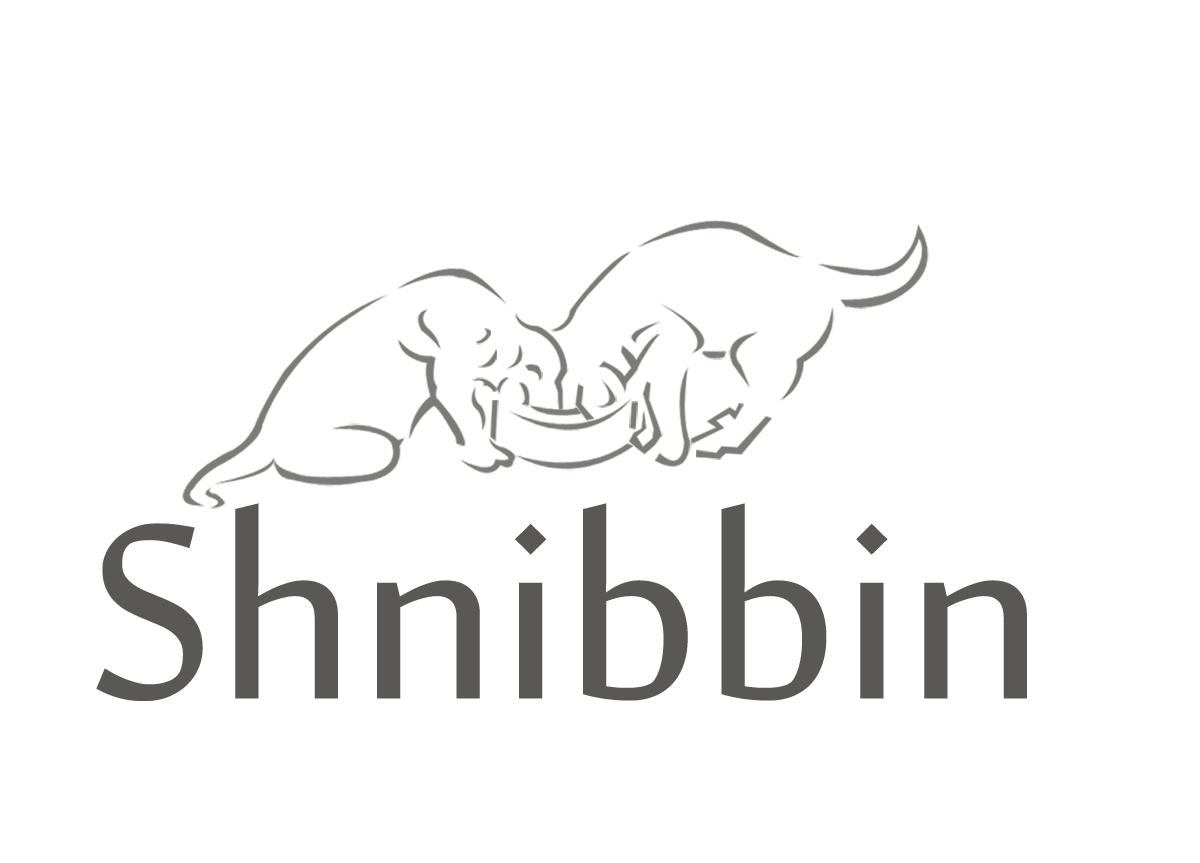 Diseño de Logo por UniqueDesignz para Shnibbins, LLC | Diseño #376169