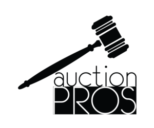 Logo Design by Roksana Skura / PIEL Design