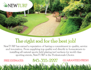 Postcard Design for Northeast Wholesale Turf llc