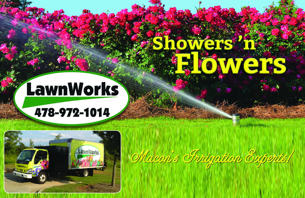 Advertisement Design by Soula Vetter for this project | Design #1858094
