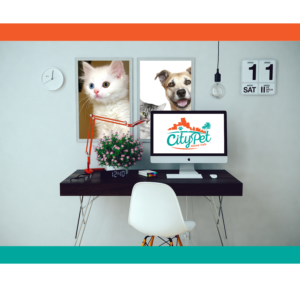 Logo Design by DYNAMITE! for City Pet Home Vets | Design: #7414656