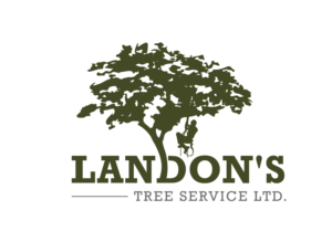 Logo Design by hih7