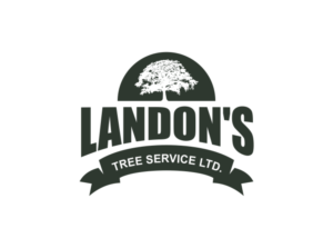 Logo Design by pa2pat