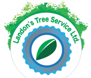 Design de Logo par WiM Otrick pour Landon's Tree Service Ltd. | Design #7376540