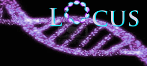 Logo Design by Anima