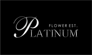 Logo Design by ESolz Technologies