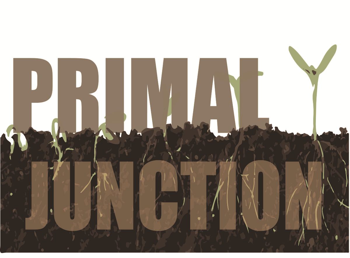 Logo Design by A Swish design for this project | Design #1867587