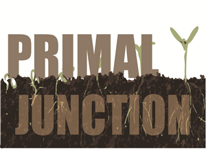Logo Design by A Swish design
