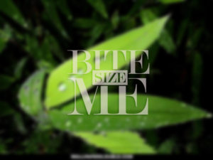 Logo Design by AMBOGEStudios for this project | Design: #7497528