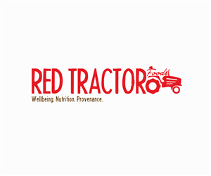 Logo Design by Minimalist