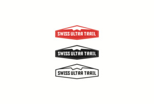 Design de Logo par dii pour Nachfolgepartner AG | Design : #7425880