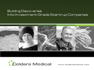 PowerPoint Design by CreativeKlub for this project | Design: #7438926