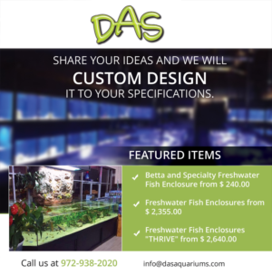 Advertisement Design by roopaljain for DAS | Design: #7422614