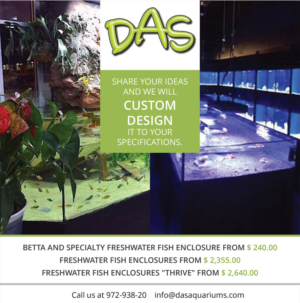 Advertisement Design by roopaljain for DAS | Design: #7422615