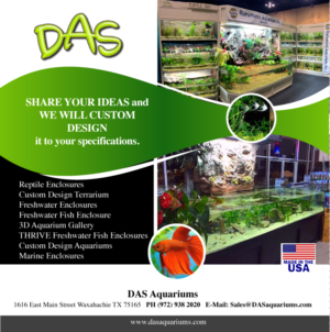 Advertisement Design by Aleksic for DAS | Design: #7401872