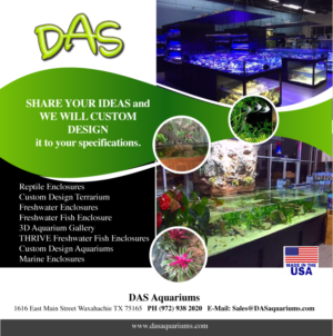 Advertisement Design by Aleksic for DAS | Design: #7401873