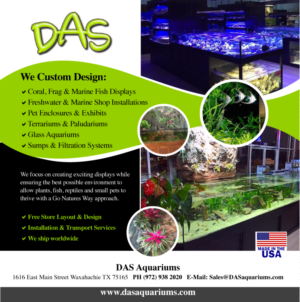 Advertisement Design by Aleksic for DAS | Design: #7406949