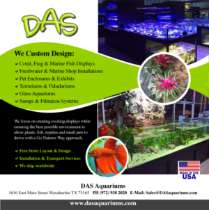 Advertisement Design by Aleksic for DAS | Design: #7424156