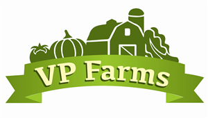 Logo Design by rosdeleon