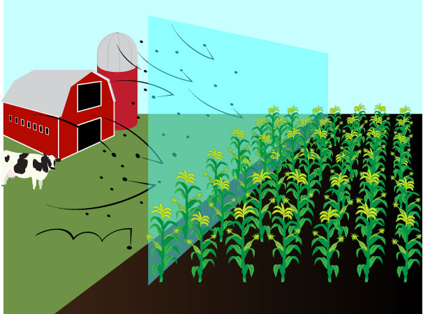 Illustration Design by Kings Bishop Design for this project | Design #378286