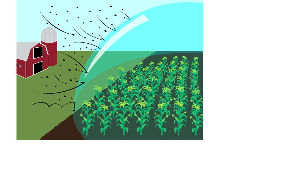 Illustration Design by Kings Bishop Design for this project | Design #379572