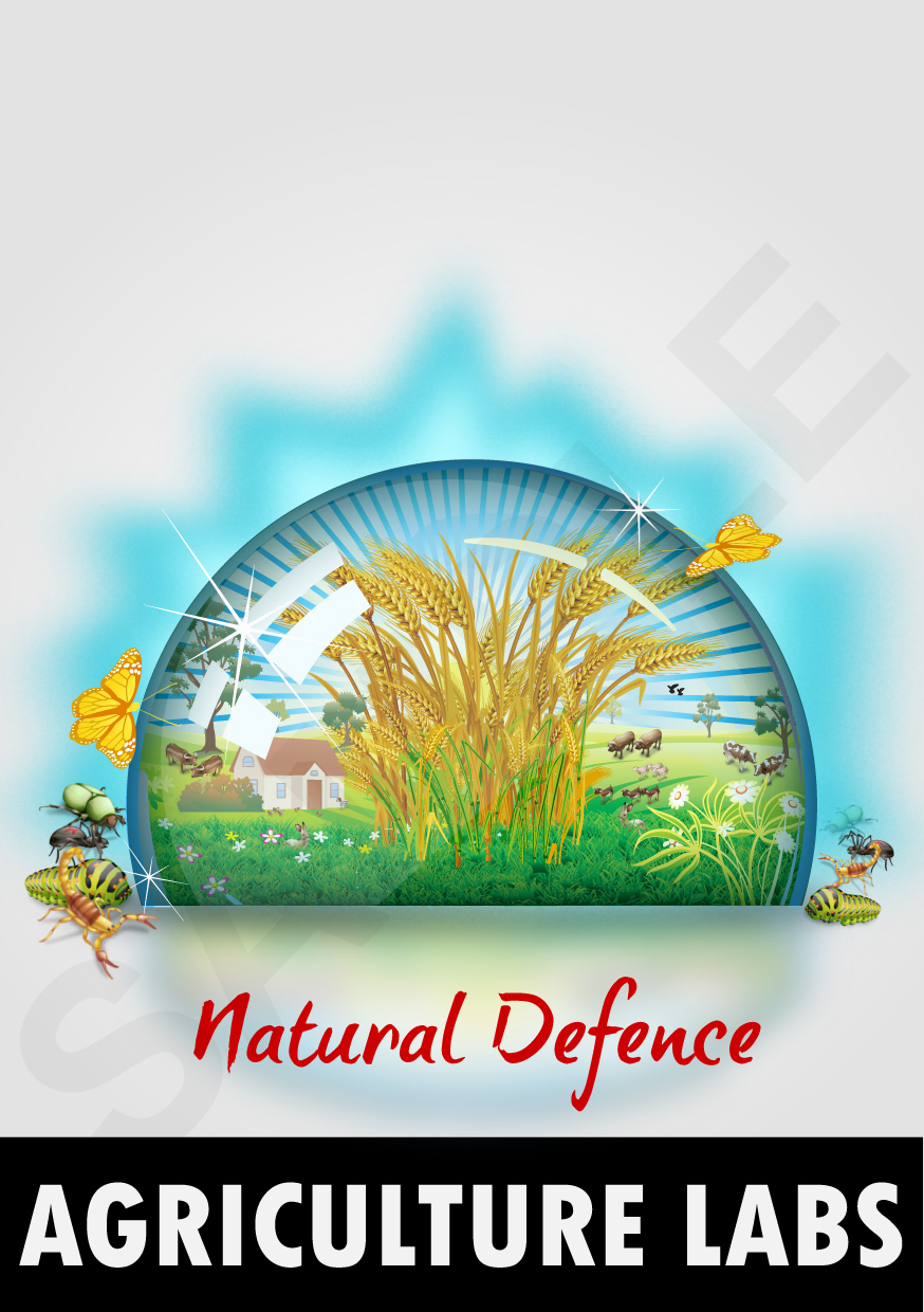 Illustration Design by pb for this project | Design #382095