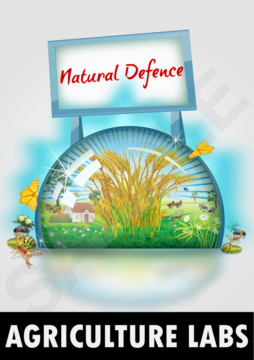Diseño Con Ilustración por pb para este proyecto | Diseño #382096