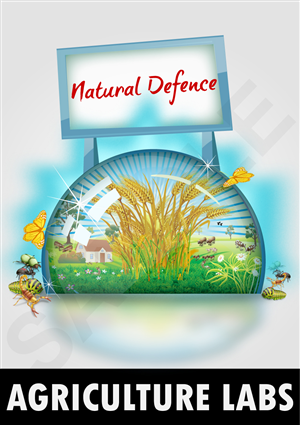 Diseño Con Ilustración por pb para este proyecto | Diseño: #382096