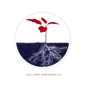 Logo Design by WEE Graphics