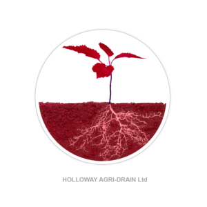 Design de Logo par WEE Graphics pour ce projet | Design : #7599901