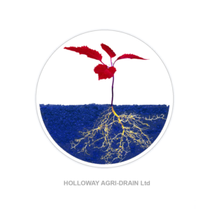 Design de Logo par WEE Graphics pour ce projet | Design : #7599902