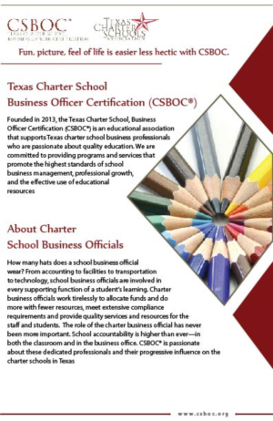 Diseño de Flyer por CreativeKlub para Charter School Success, LLC | Diseño: #7427929