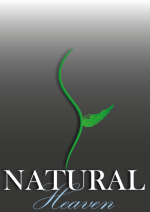 Logo Design by MorgansDesign