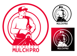 Logo Design by Cyclops
