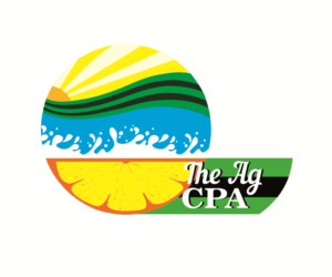 Logo Design by Sana Khan