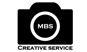 Logo Design by Metaphorical Emperor Leaf