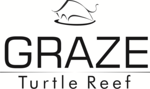 Logo Design by soniya D gaonkar