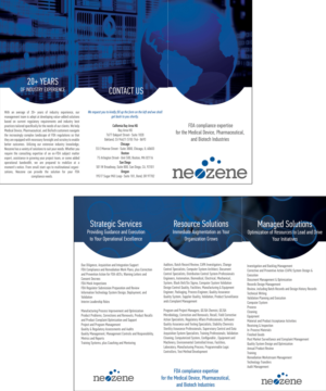 Flyer Design by roopaljain for Neozene | Design #7496126