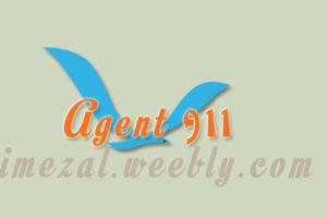 Logo Design by bindasslokesh