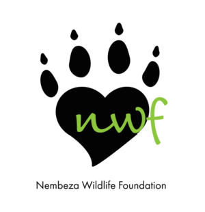 Logo Design by awestmo for this project | Design: #7446818