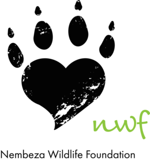 Logo Design by awestmo for this project | Design: #7464237