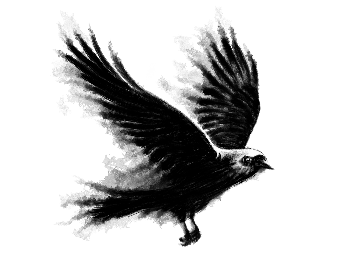 Diseño Artístico por Patrícia Duarte para este proyecto | Diseño #1884099