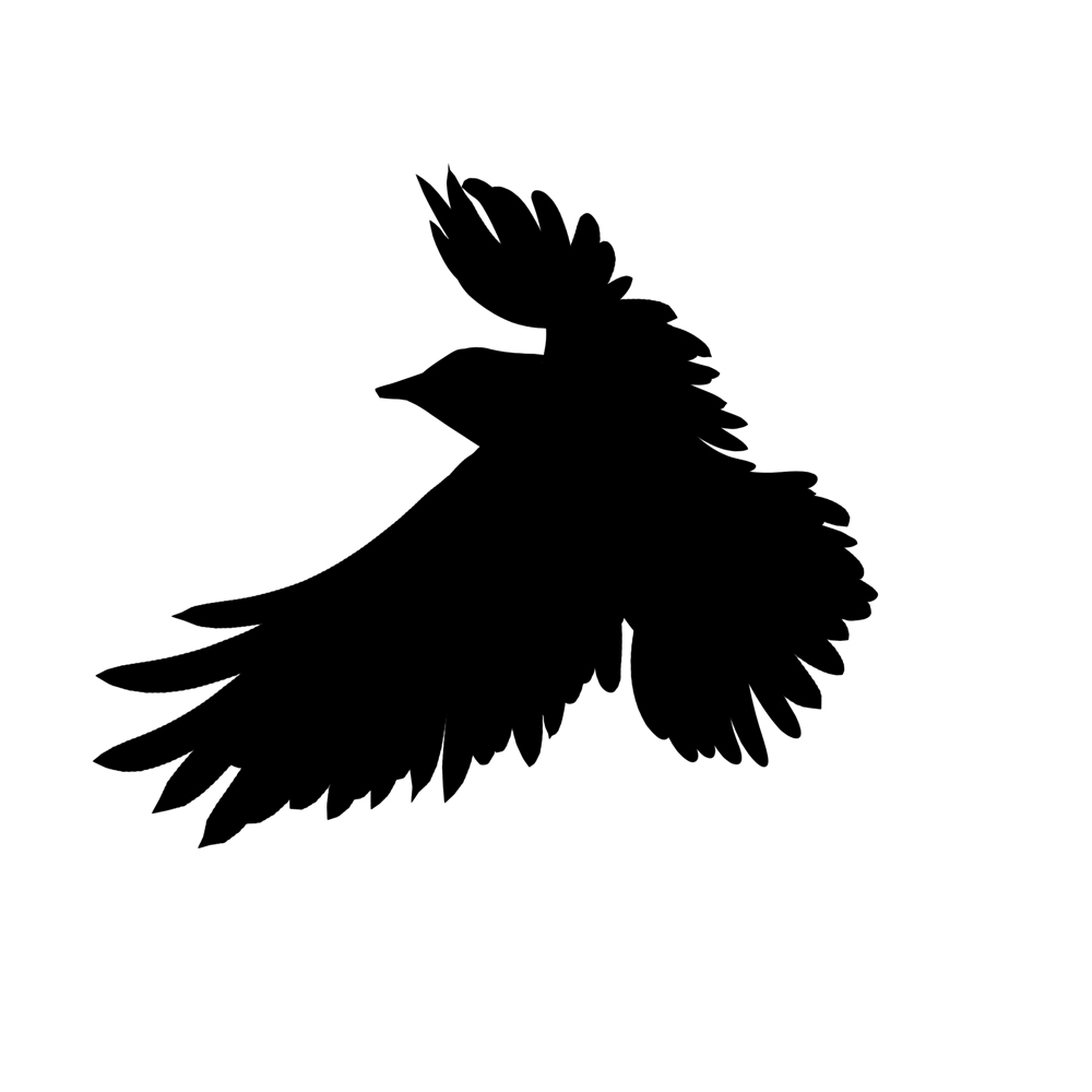 Diseño Artístico por shaheen para este proyecto | Diseño #1883869