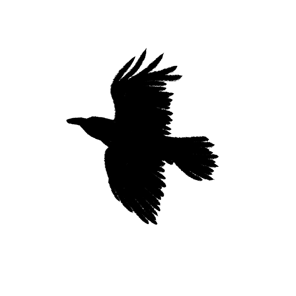 Diseño Artístico por shaheen para este proyecto | Diseño #1883872