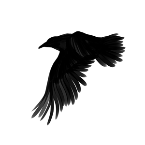 Crow silloutte with broad brush strokes | Design Art par shaheen