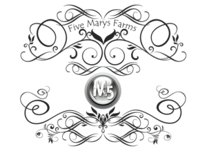 Diseño de Camiseta por bc140400159 para este proyecto | Diseño: #7448591