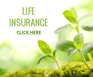 Banner Ad Design by pb for FountainheadME.com | Design: #7437623