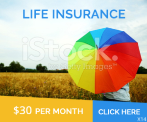 Banner Ad Design by pb for FountainheadME.com | Design: #7437651